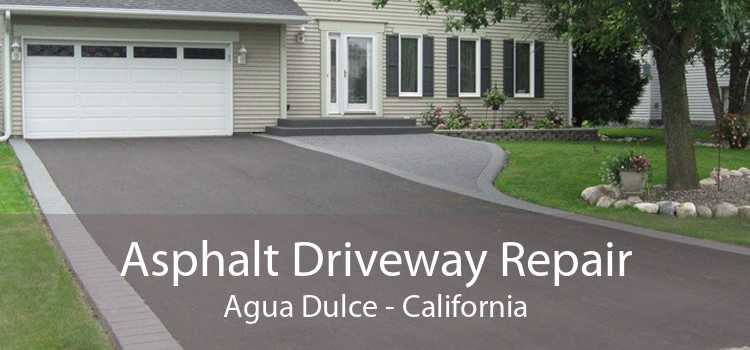 Asphalt Driveway Repair Agua Dulce - California