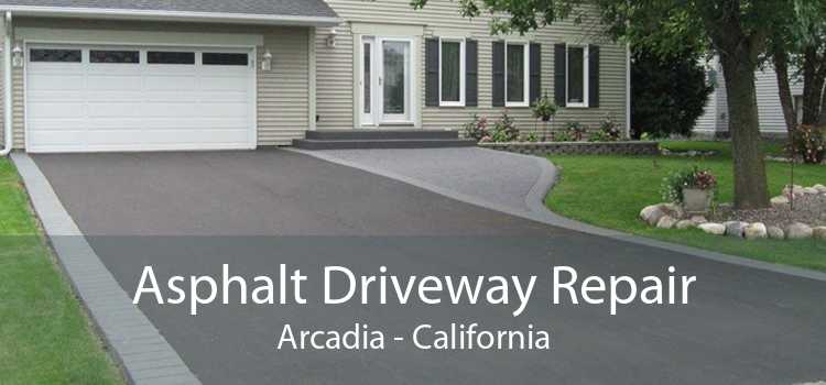 Asphalt Driveway Repair Arcadia - California