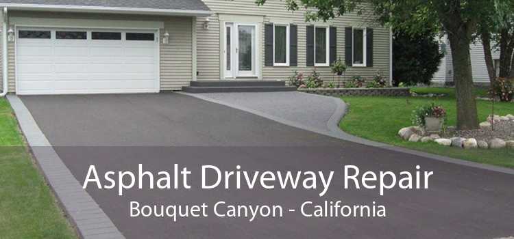 Asphalt Driveway Repair Bouquet Canyon - California