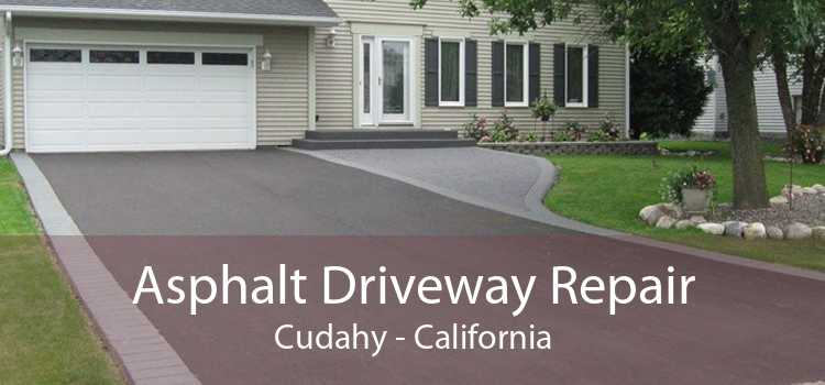 Asphalt Driveway Repair Cudahy - California