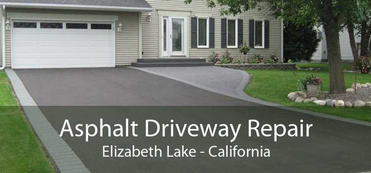 Asphalt Driveway Repair Elizabeth Lake - California