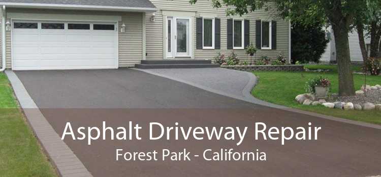 Asphalt Driveway Repair Forest Park - California