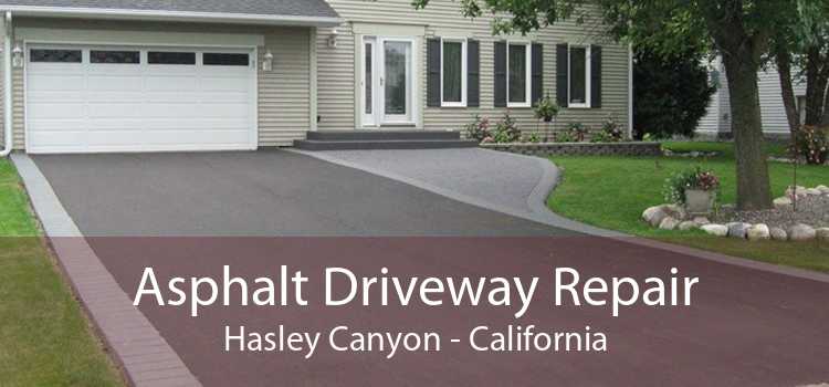 Asphalt Driveway Repair Hasley Canyon - California