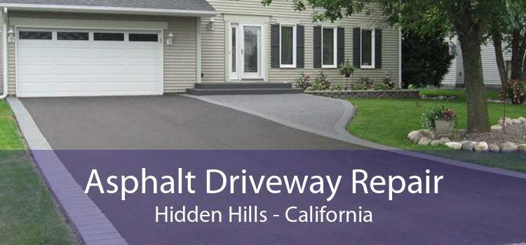 Asphalt Driveway Repair Hidden Hills - California