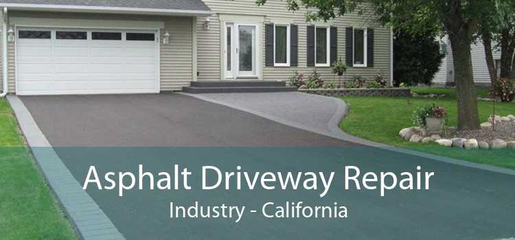 Asphalt Driveway Repair Industry - California