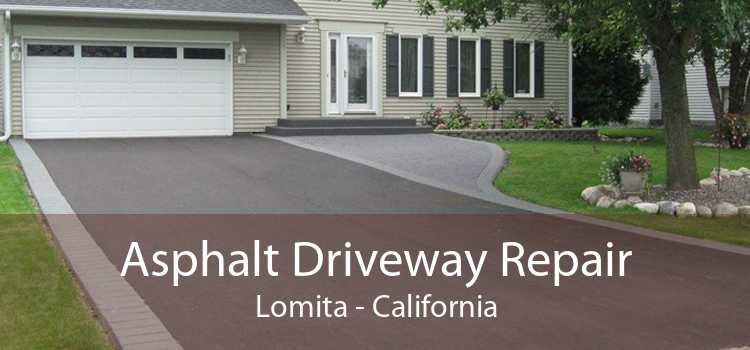 Asphalt Driveway Repair Lomita - California