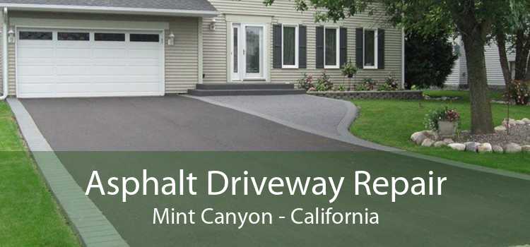 Asphalt Driveway Repair Mint Canyon - California