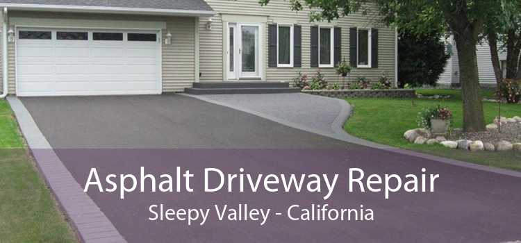 Asphalt Driveway Repair Sleepy Valley - California