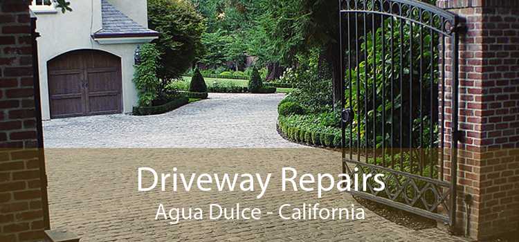 Driveway Repairs Agua Dulce - California