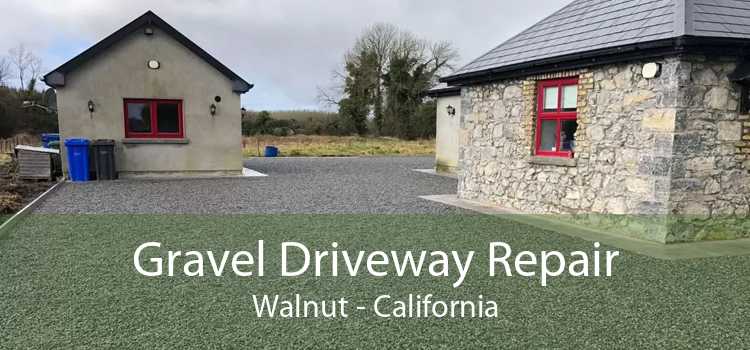 Gravel Driveway Repair Walnut - California