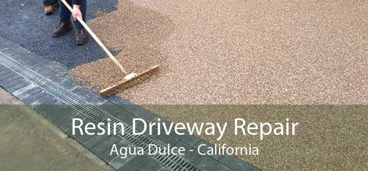 Resin Driveway Repair Agua Dulce - California