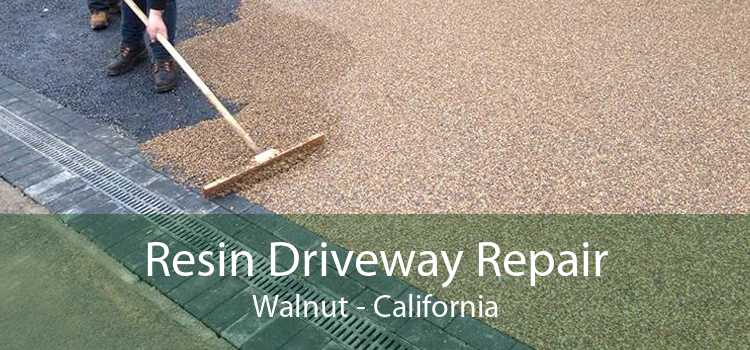 Resin Driveway Repair Walnut - California